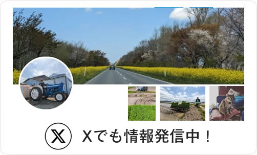 Xでも情報発信中！
